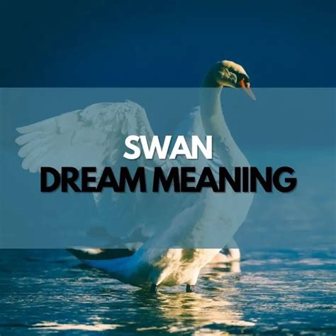 Decoding the Meaning of Swan Dreams