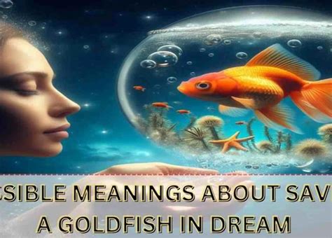 Decoding the Meanings: Unveiling the Messages Concealed in Infant Goldfish Dreams