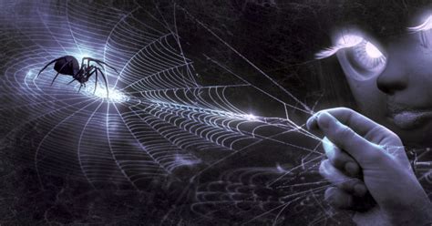 Decoding the Meanings behind a Vast Spider Web in a Dream