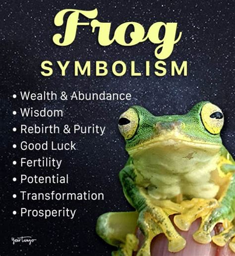 Decoding the Profound Symbolism of the Frog