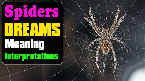 Decoding the Significance: Exploring the Symbolisms and Explanations of Ladybugs and Spiders in Dreams