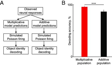 Decoding the Significance and Implications of the Intertwined Cord Vision