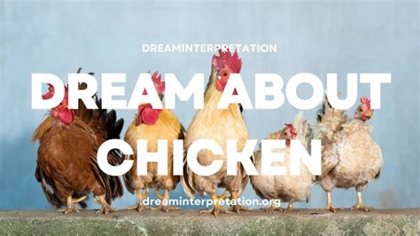 Decoding the Significance of Chickens Laying Eggs in Your Dream