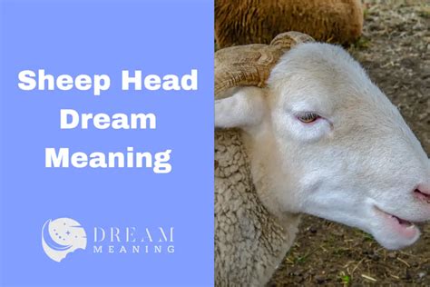 Decoding the Significance of Sheep Head Dreams