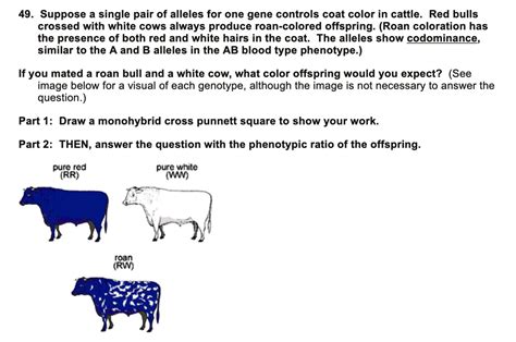 Decoding the Significance of Snowy Bovine Offspring: Your Comprehensive Handbook