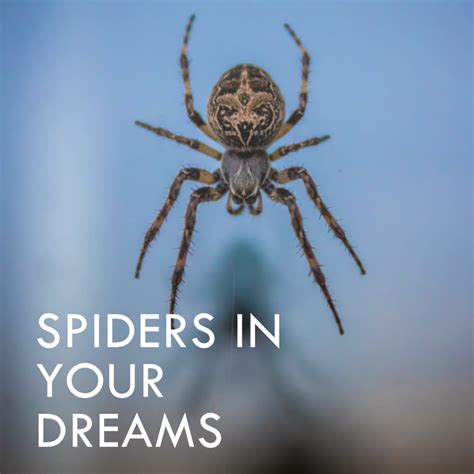 Decoding the Significance of Spiders in Dreams