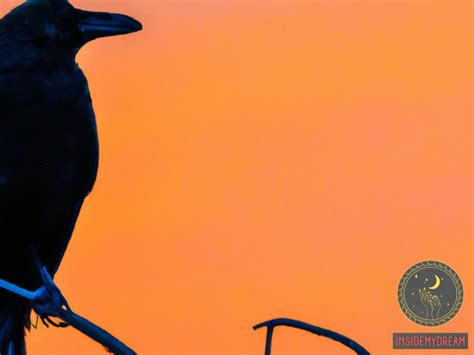 Decoding the Significance of Witnessing Crows: Uncovering its Symbolism