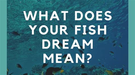 Decoding the Significance of Yellow Fish in Your Dreams