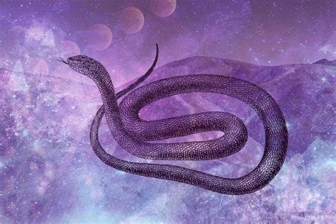 Decoding the Significance of a Massive Serpent in Aquatic Surroundings