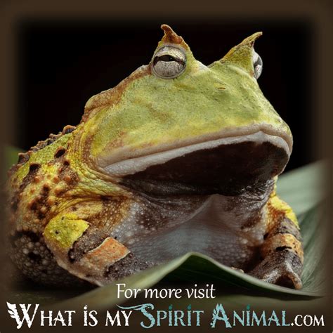 Decoding the Spiritual Significance of Infant Amphibians in the Realm of Dreams