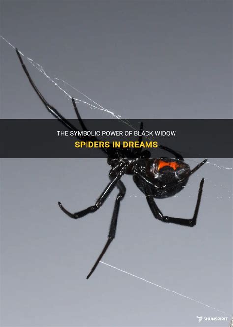 Decoding the Symbolic Importance of the Black Widow Spider in Dreams