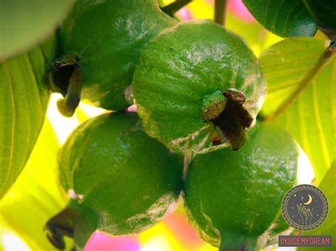 Decoding the Symbolic Meaning behind Guavas in Dreams