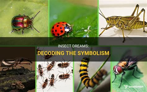 Decoding the Symbolic Meanings of Tiny Bugs in Dreams