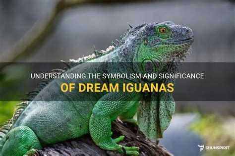 Decoding the Symbolic Significance of Iguanas in the Realm of Dreams