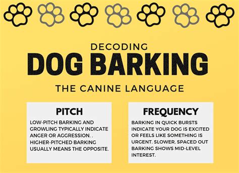 Decoding the Symbolic Significance of an Aggressive Encounter with a Pure Canine Creature