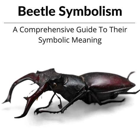 Decoding the Symbolism: Exploring the Significance of Beetle Presence in Dreams