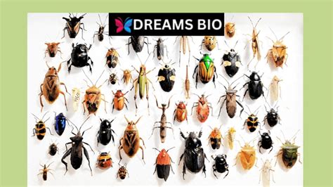 Decoding the Symbolism: Unlocking the Meaning of Expectorating Insects in Dreams