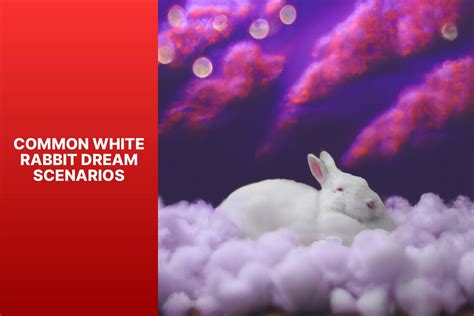 Decoding the Symbolism: Unraveling the Significance of Rabbit Eggs in Dreams