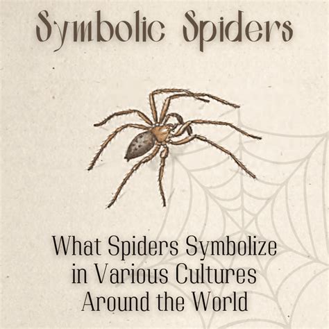 Decoding the Symbolism: Unveiling the Significance of Spiders in the Bathroom