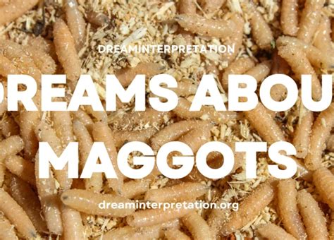 Decoding the Symbolism Behind Maggots in Dreams