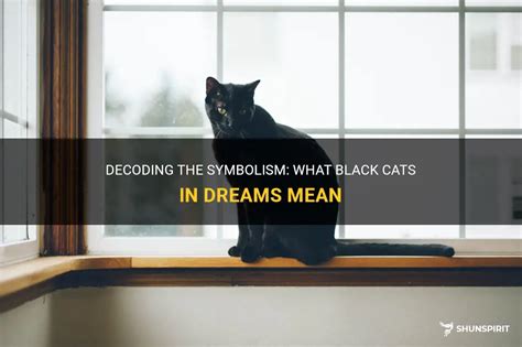 Decoding the Symbolism in Cat Dreams