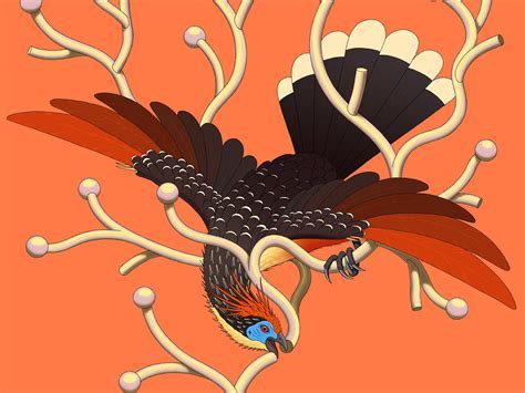 Decoding the Symbolism of Avian Creatures in Dreams