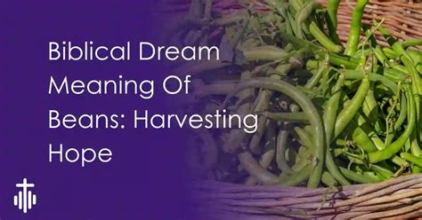 Decoding the Veiled Meanings: Interpreting Dreams of Bean Harvest