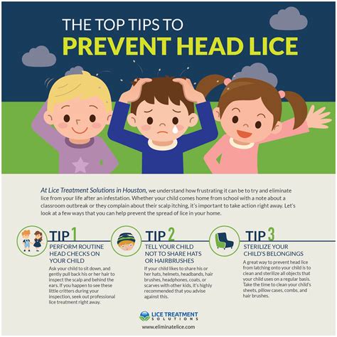 Decontaminating Your Home: Cleaning Strategies to Prevent Head Lice Reinfestation