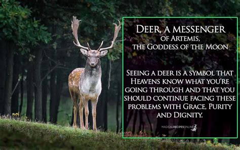 Deer as Messengers of Wisdom and Spirituality