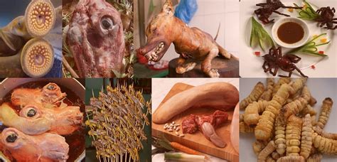 Delicious and Strange: Bizarre Meat Dreams from Around the Globe