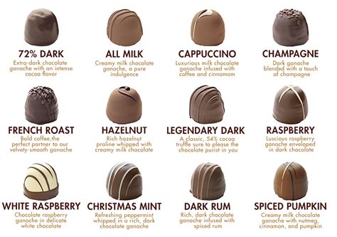 Delight Your Senses: Exploring Varied Types and Distinctive Flavors of Decadent Cocoa