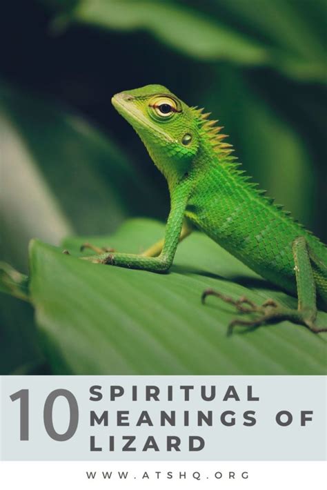 Delve Into the Symbolic Meaning of Aspiring to Own a Lizard