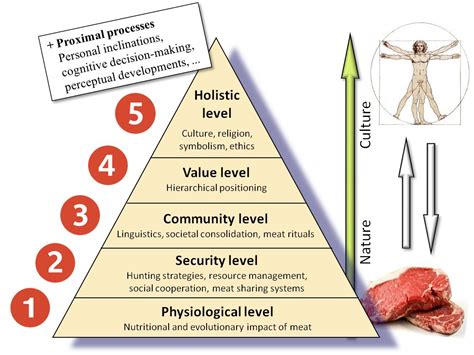 Delve into the History of Meat and Its Role in Human Evolution