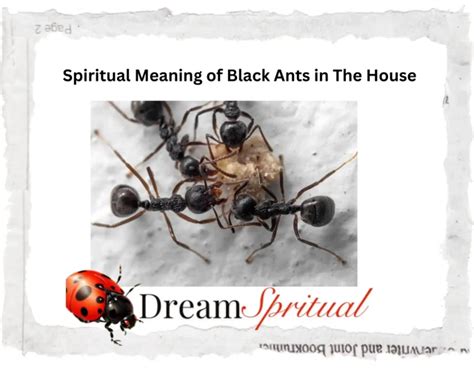 Delving into the Collective Unconscious: Exploring the Significance of Ants in Dreams