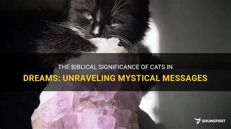 Delving into the Depths of Cat Dreams: Unraveling the Psychological Significance