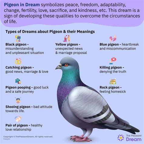 Delving into the Profound Symbolic Significance of Dreams Involving Pigeons