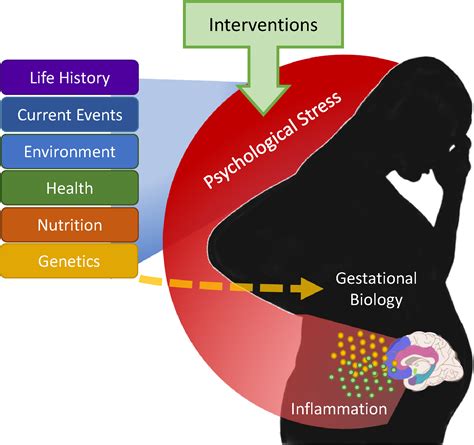 Delving into the Psychological Impact of a Wrathful Maternal Figure