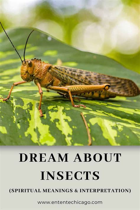 Delving into the Significance of Bugs in the Realm of Dream Psychology