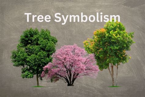 Delving into the Spiritual Meaning of Tree Symbolism