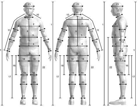 Demensions, Physique, and Fashion Sense