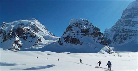 Denali Winter's Figure: Body Measurements