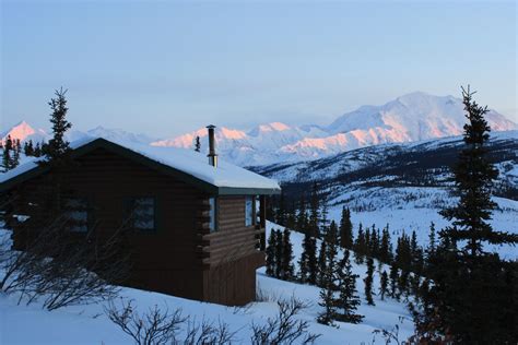 Denali Winter's Social Media Presence