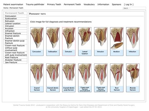 Dental Trauma and Nightmares: Addressing the Psychological Effects