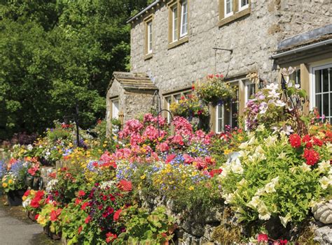 Designing Your Dream Shack: Tips for Creating a Quaint and Enchanting Space