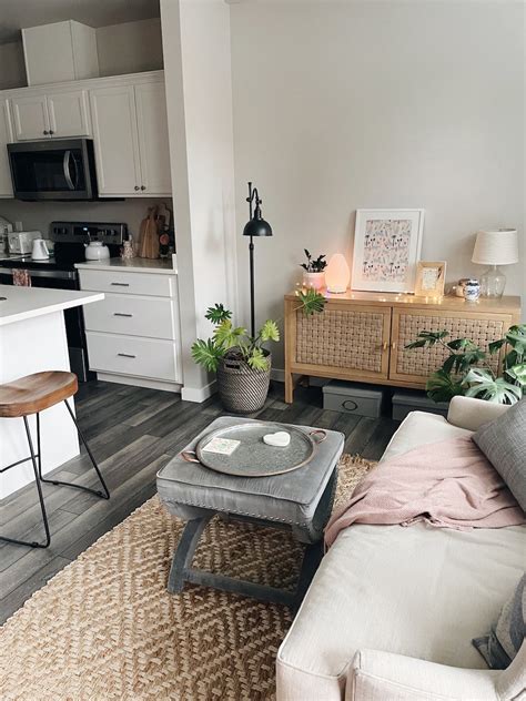 Designing Your Space on a Budget: Creating a Cozy and Stylish Home with Affordable Discoveries