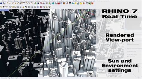 Designing the Ideal Rhino Environment: Overcoming the Challenges