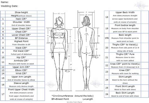 Details about Amy Pattali's Vertical Measurement