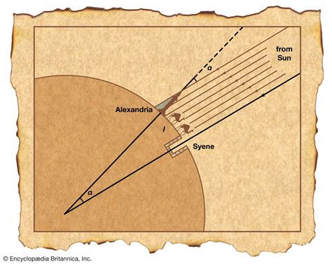 Details about Her Time on Earth and Vertical Measurement