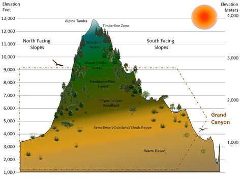 Details about Years of Life and Elevation