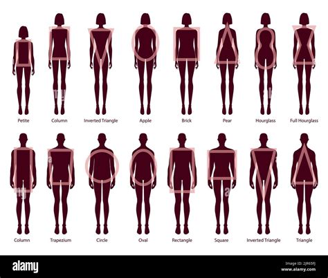 Details on Body Figure and Shape